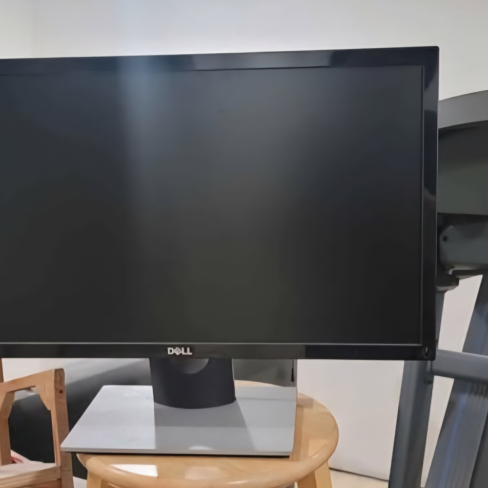 Dell 24" Monitor